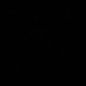 Meet your Posher, Walid